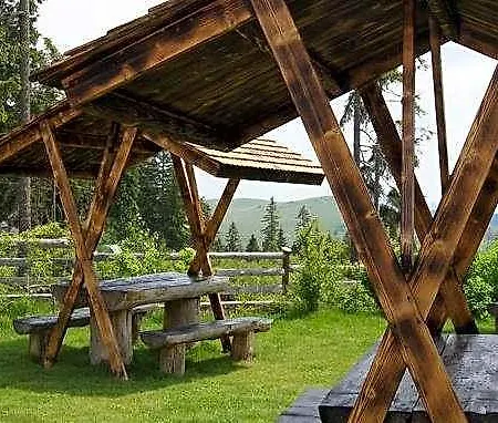 Pensiunea Andreea Ξενοδοχείο 4*