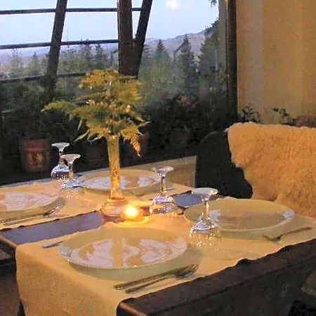 Pensiunea Andreea Ξενοδοχείο 4*
